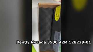 128229-01 Máy theo dõi địa chấn Bently Nevada 3500 42M